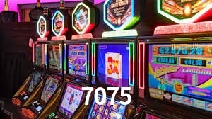 7075 feedback — formulário de envio no aplicativo oficial