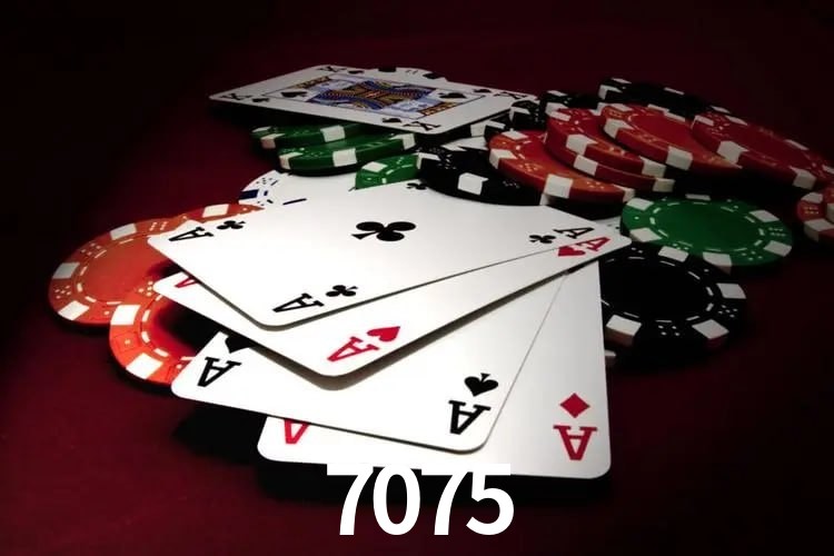 Programa VIP 7075